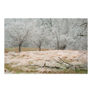 Ice Storm Rural Tennessee - Scenic Photograph Poster