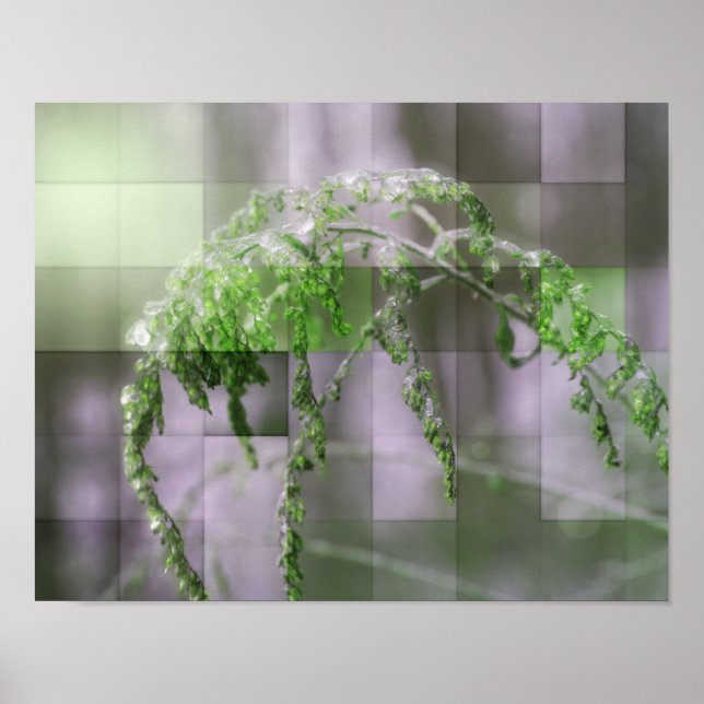 Ice Sur Goldenrod Nature Poster (Devant)