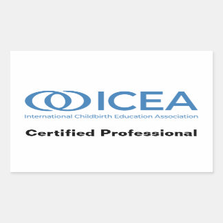ICEA Certified Professional Stickers