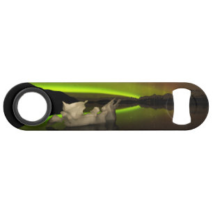 Iceberg Aurora Bar Key