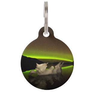 Iceberg Aurora Pet Tag