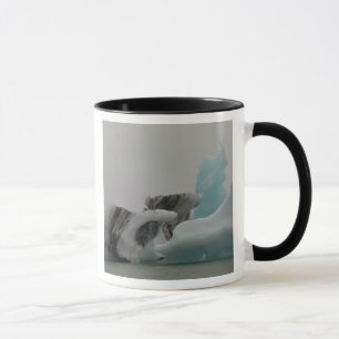 Iceberg formations mug