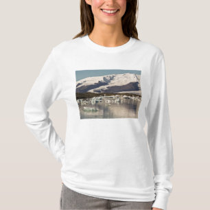 Iceberg formations T-Shirt