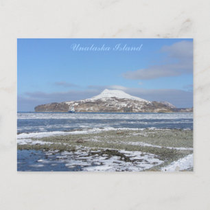Icebergs in Captain's Bay, Unalaska Island Postcard