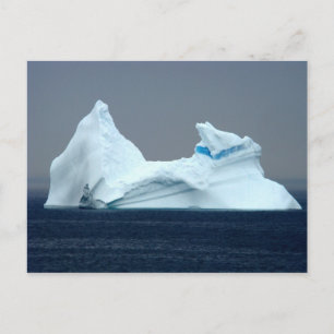 Icebergs in Newfoundland Postcard