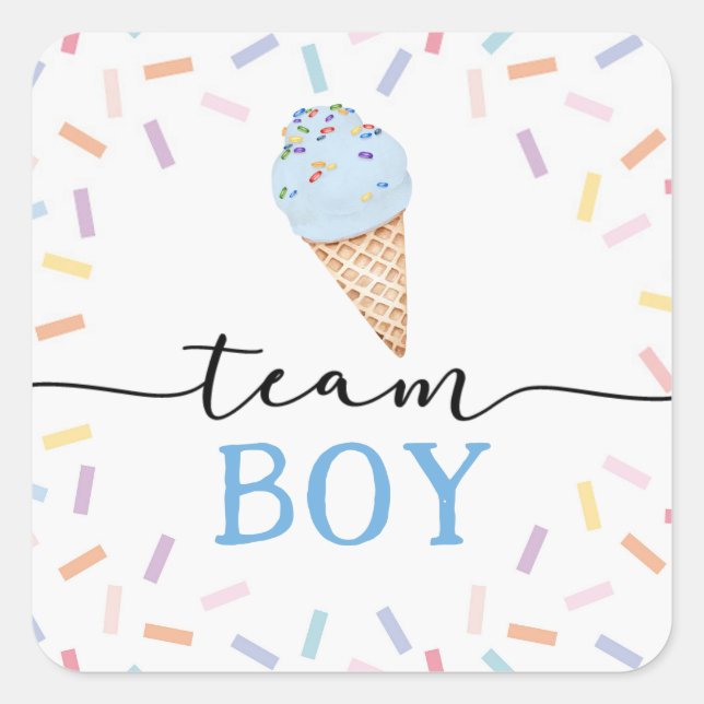 Icecream Gender Reveal Team Boy  Square Sticker (Front)