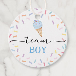 Icecream Team Boy or Girl Gender Reveal Favour Tags