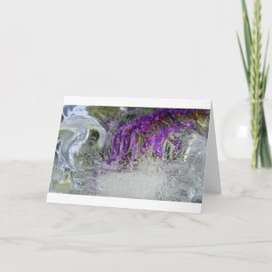 Iced Black Knight Butterfly Bush,  Card