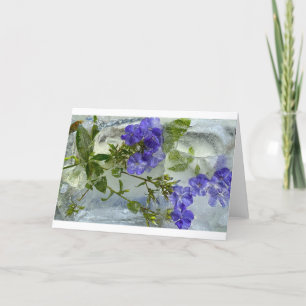 Iced Blossoms, Card