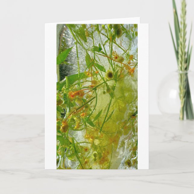 Iced Blossoms,  Card (Front)