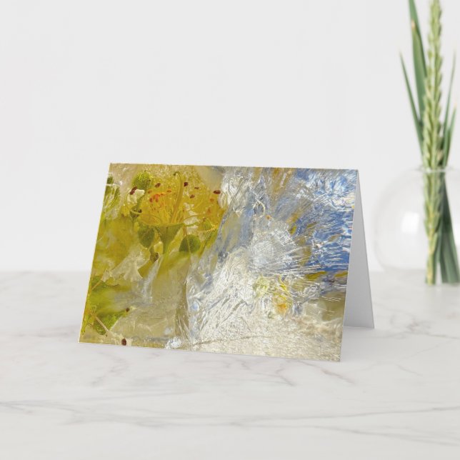 Iced Blossoms,  Card (Front)