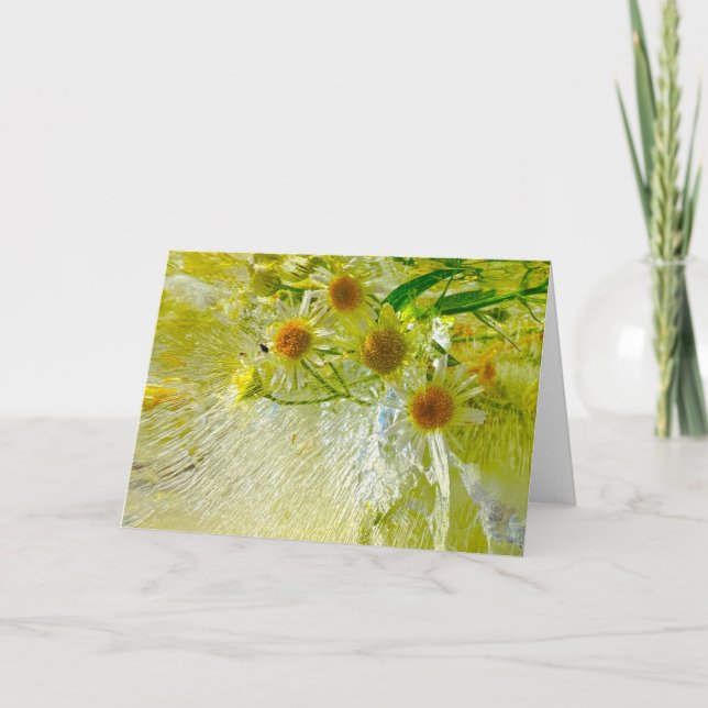 Iced Blossoms,  Card (Front)