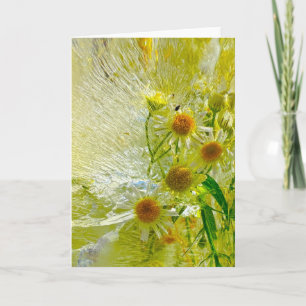 Iced Blossoms,  Card