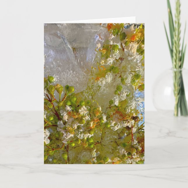 Iced Blossoms,  Card (Front)