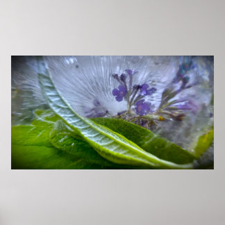 Iced Blossoms Poster