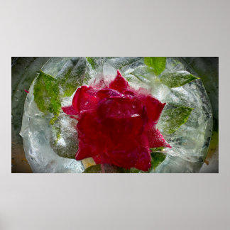 Iced Blossoms Poster