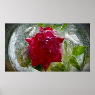 Iced Blossoms Poster