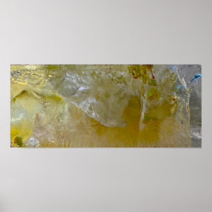 Iced Blossoms,  Poster
