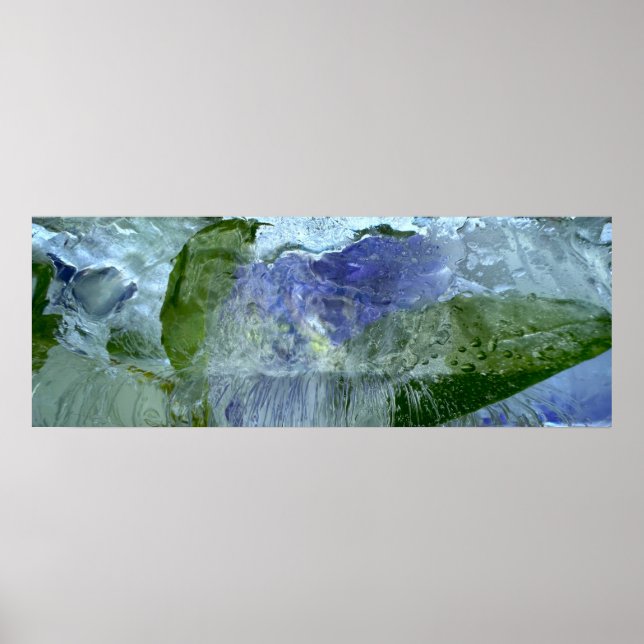 Iced Blossoms,  Poster (Front)