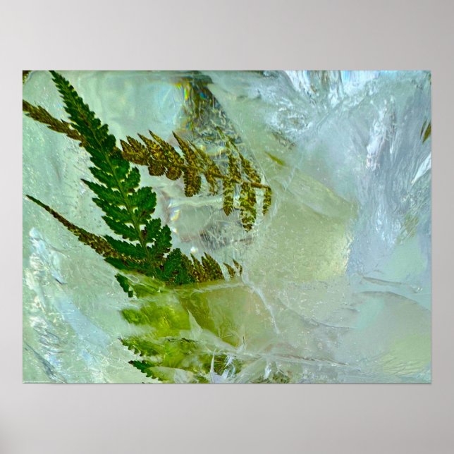 Iced Blossoms,  Poster (Front)