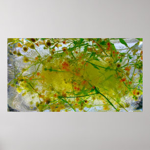 Iced Blossoms, Poster
