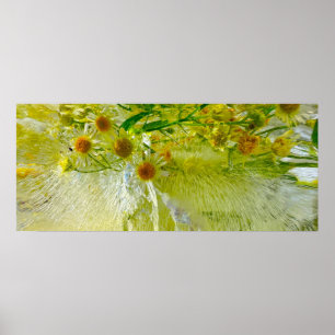 Iced Blossoms, Poster