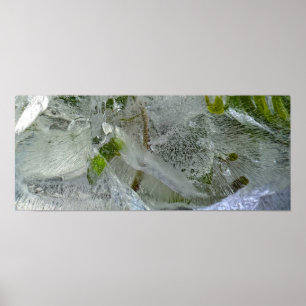Iced Ivy,  Poster