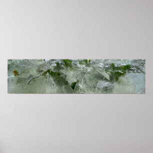 Iced Ivy,  Poster