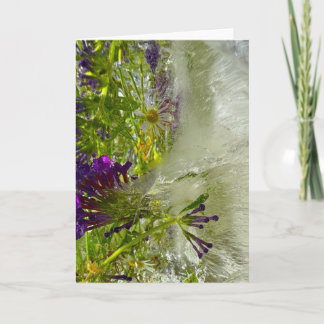 Iced Lilies, Card