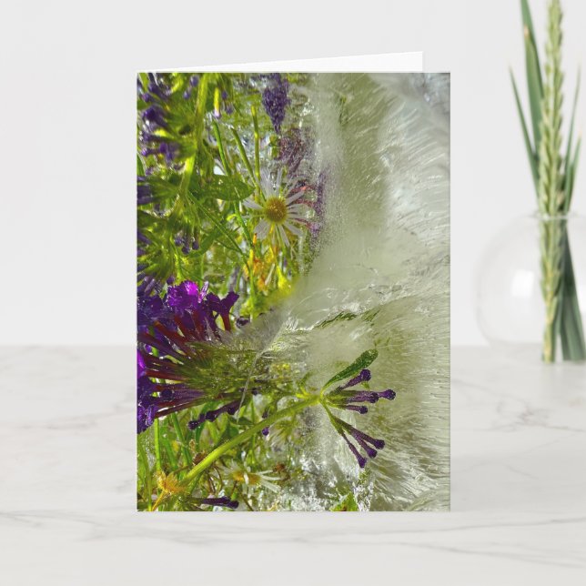 Iced Lilies, Card (Front)