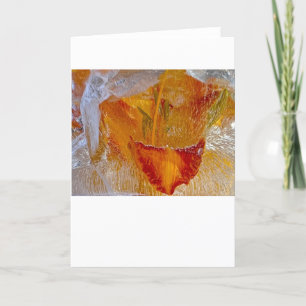 Iced Lilies, Card
