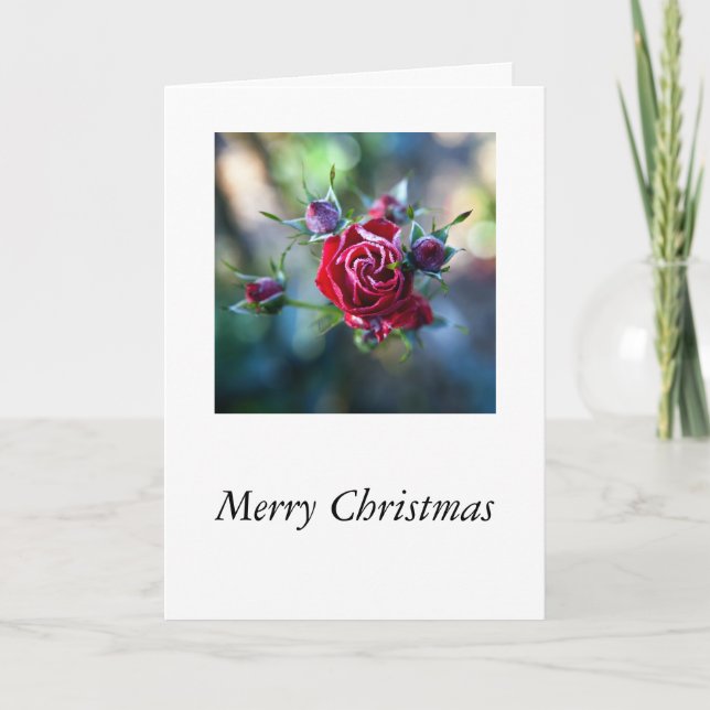Iced Roses Holiday Card (Front)