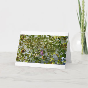 Iced Thistle & Clover, Card