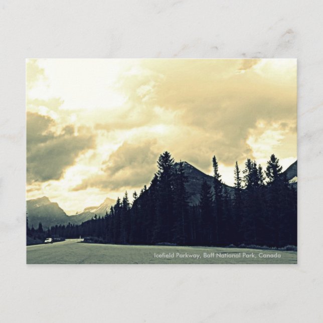 Icefield Parkway, Banff National Park, Canada. Postcard (Front)