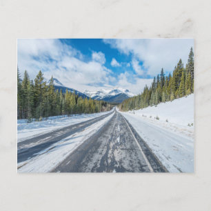 Icefields Parkway Postcard