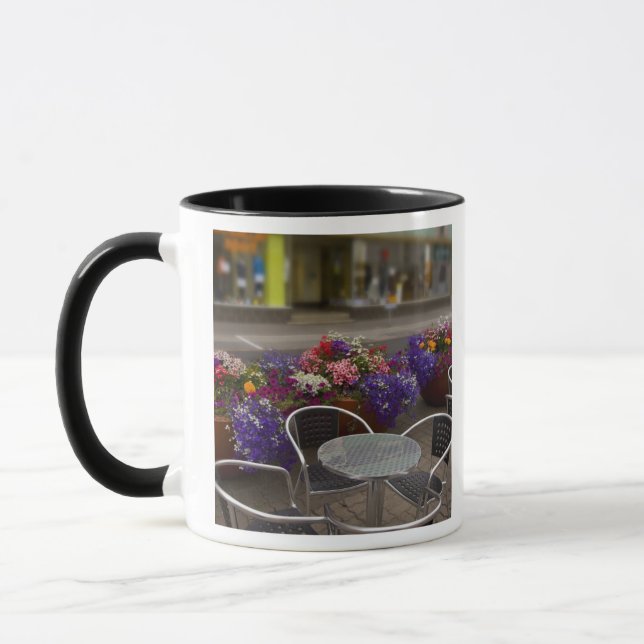 Iceland, Akureyri. View of the main business Mug (Left)