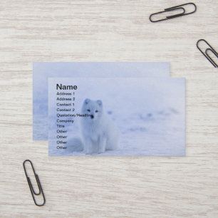 Iceland Arctic Fox Business Card