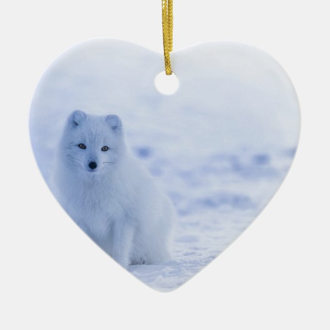 Iceland Arctic Fox Ceramic Ornament (Front)