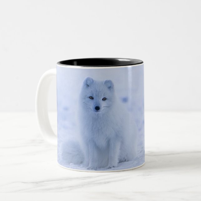 Iceland Arctic Fox Two-Tone Coffee Mug (Front Left)