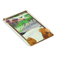 Iceland Borgarnes Flight poster