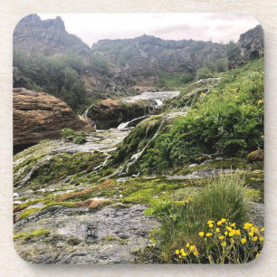 Iceland - coaster