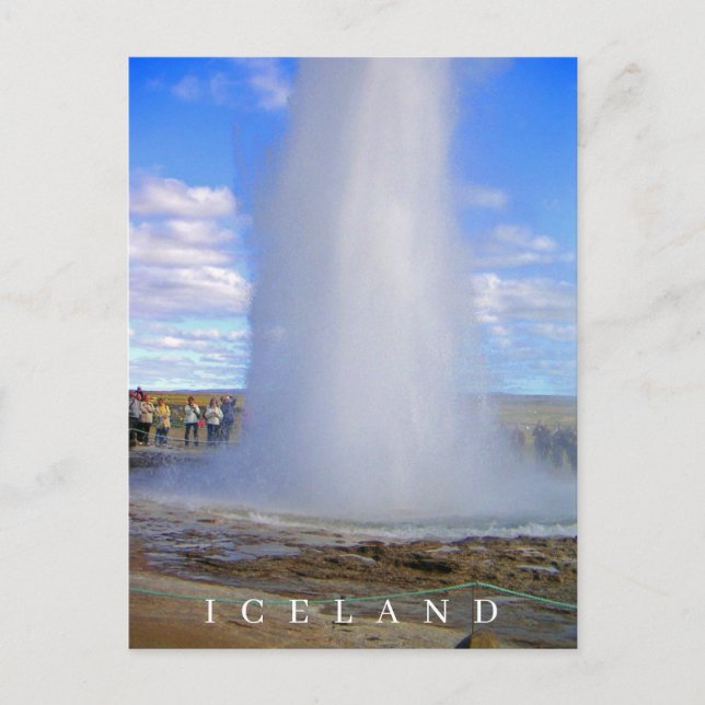 Iceland geyser view postcard (Front)
