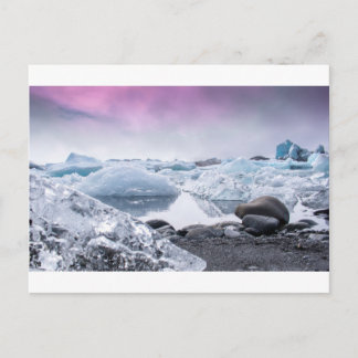 Iceland Glacier Lagoon Postcard