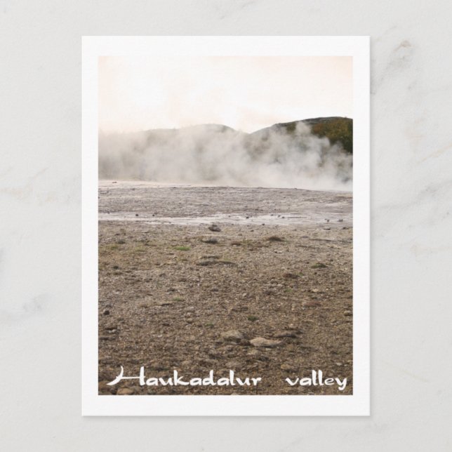 Iceland, Haukadalur valley Postcard (Front)
