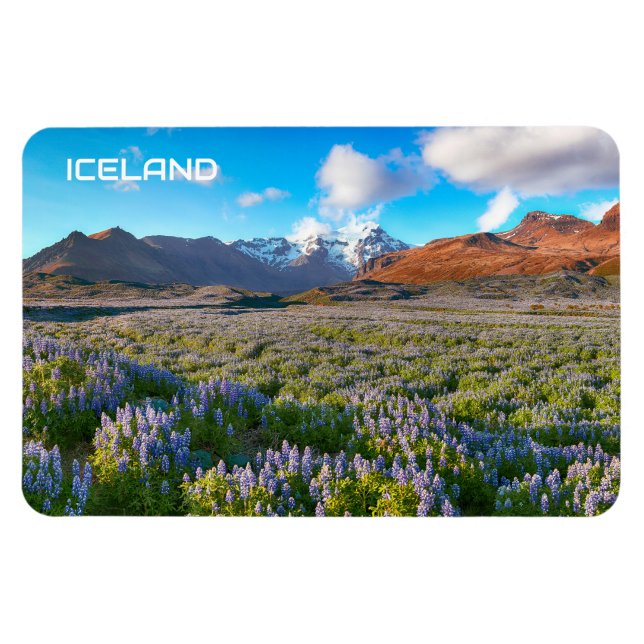 Iceland Magnet (Horizontal)