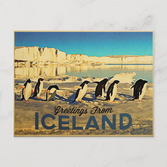 Iceland Penguins Postcard (Front)