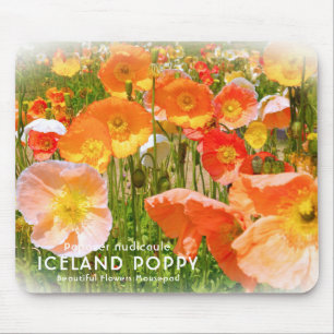 Iceland Poppy Mouse Pad