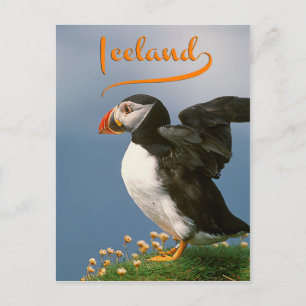 Iceland Postcard
