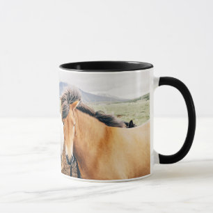 Iceland  three colour horses mug