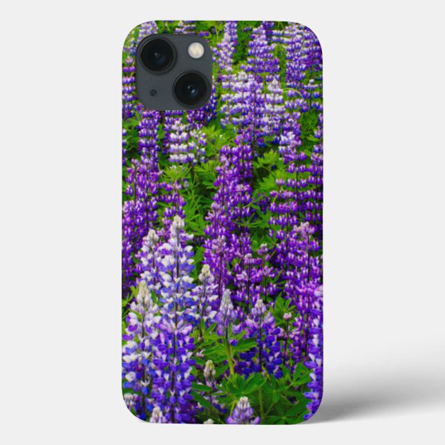 Iceland. Vik i Myrdal. Field of Lupines Case-Mate iPhone Case (Back)